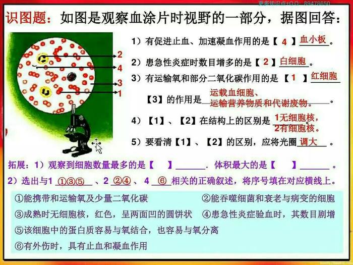 给马上要会考的初二党的生物地理复习资料|第