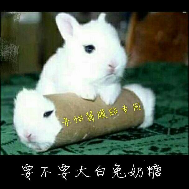 演员荣耀版《姐姐》大乔视频唱出了百万王者号妹子驾图片