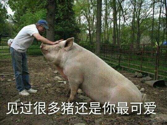 嘿,接住你的表情_大全图_第一弹我打着表情包图片内涵不图片