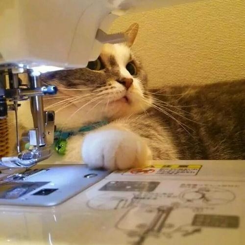 鹡鸰女神第一季第1集|第一弹 - 有弹友,不孤单!