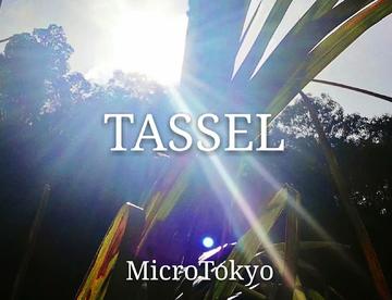 【原创电音】Tassel