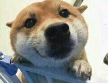 哲♂学第一弹🙄开封🙄🙄🙄