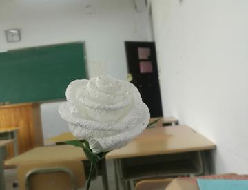 纸艺花（初学者来电）