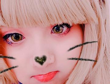 ……这个是南小鸟吧……