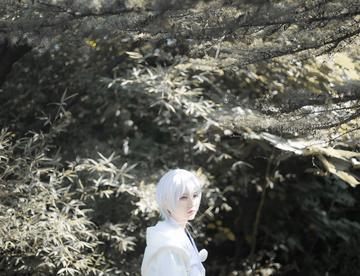 #cos正片#刀剑乱舞·鹤丸国永