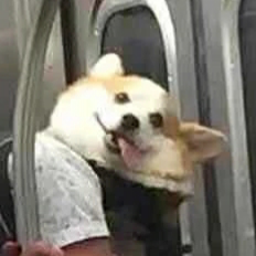 疯浪了