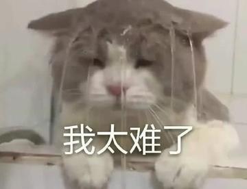 高清壁纸
