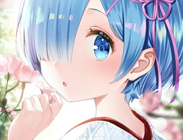 漂亮的雷姆小姐姐，嘿嘿(º﹃º )