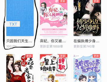 假偶天成小说版