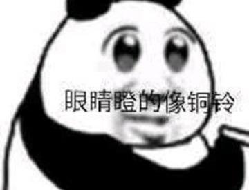 DD斩首__单推狗妈
