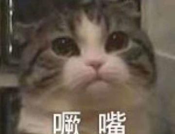 或许是永别了