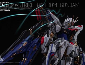 MG1/100自由强袭财喵喵自由改件