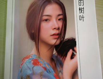 吹落的树叶～🌹🌹😘😘