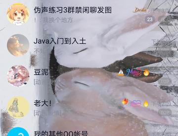 透明测试版1.1