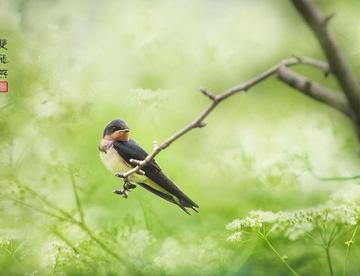 实话实说，不吹不黑，说说我这几年找过的占卜师傅