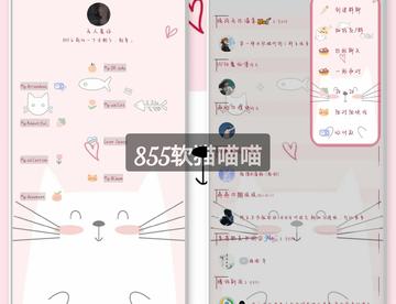 855软猫喵喵