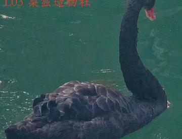五一，好奇柜，我们来啦