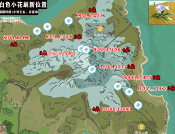 创造与魔法