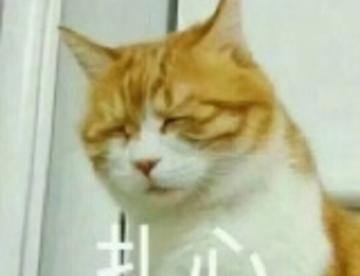 属于摆烂了