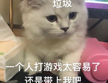^_^排位十四连跪