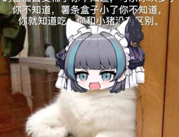 米娜桑 有麻油这种表情包分享一哈