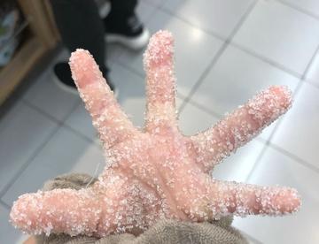 即将新一周