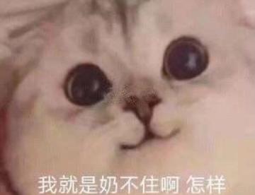 必须发一条动态显得我是个活人