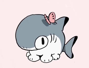 鲨猫！！！可爱昏了要！！！