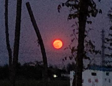 这傍晚的月亮有点红啊……