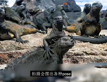 哥斯拉原型
