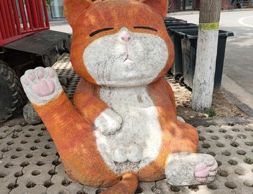这猫的表情好……😂🙄