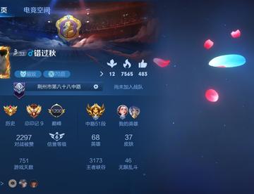 王者陪玩 代练