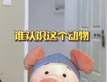 这个答案太难了，我就不信有人能答对！