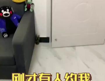 情人什么节？情什么人节？什么情人节？