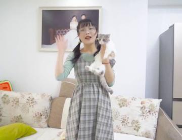 小猫第一次洗澡，一开始疯狂咬人，最后在水里泡澡！