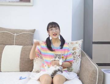 挑战1分钟内剪4只猫指甲，我能成功吗？