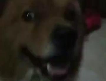 我的小乖乖