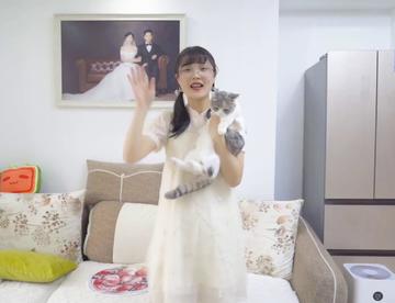 把假人放在猫面前，猫会是什么反应？猫：有两个铲屎的！