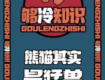 熊猫他是熊，不是猫，有道理～