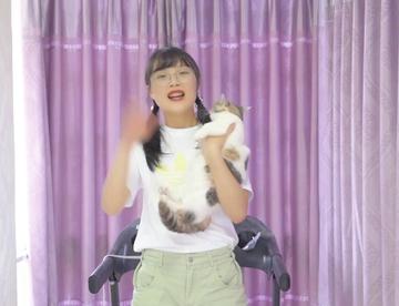 用小鱼干骗猫上跑步机，猫居然迈着小短腿跑了起来！
