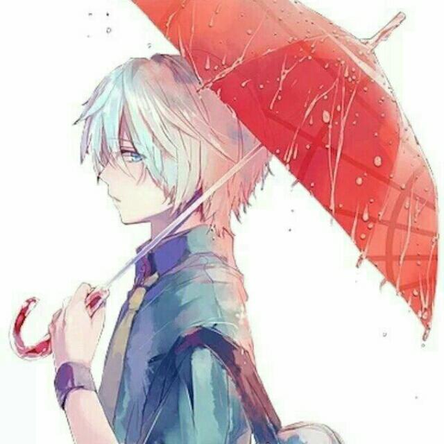 星冥酱（｡ò∀ó｡）