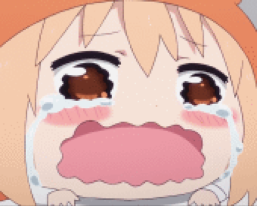 81824520