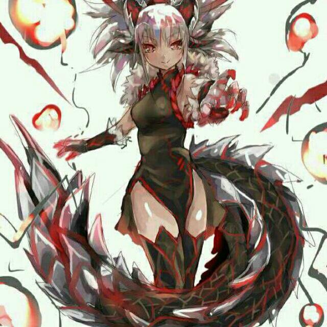 二货收藏家