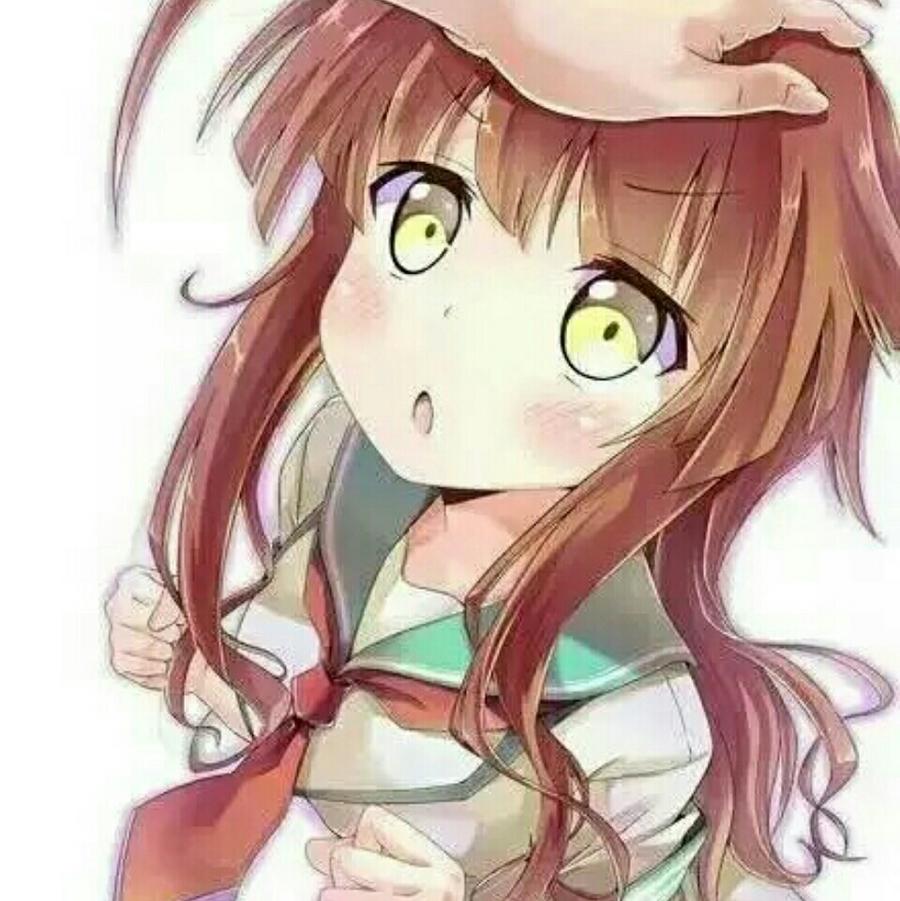 晓晓黎