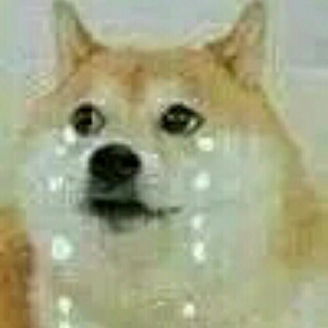 (･ิϖ･ิ)っ.