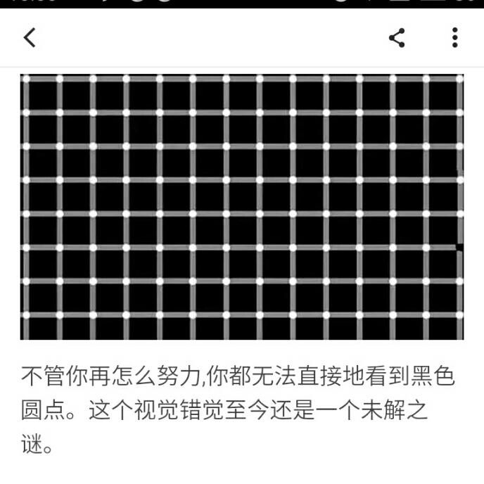 年少轻狂xrs