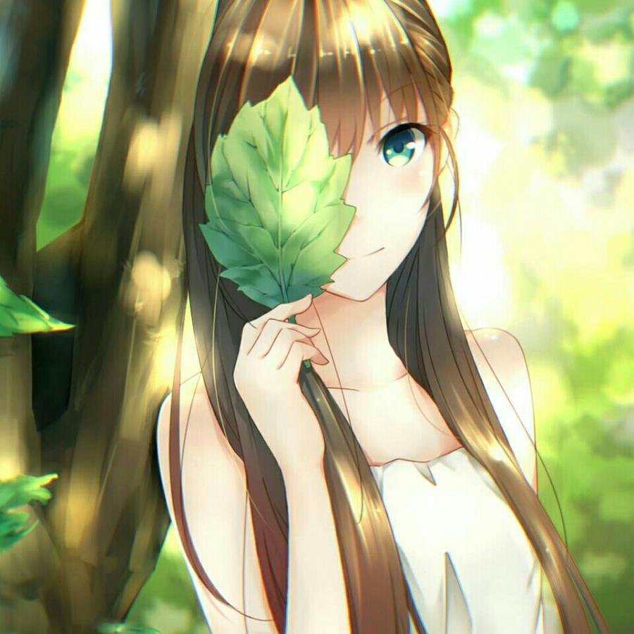 星旭