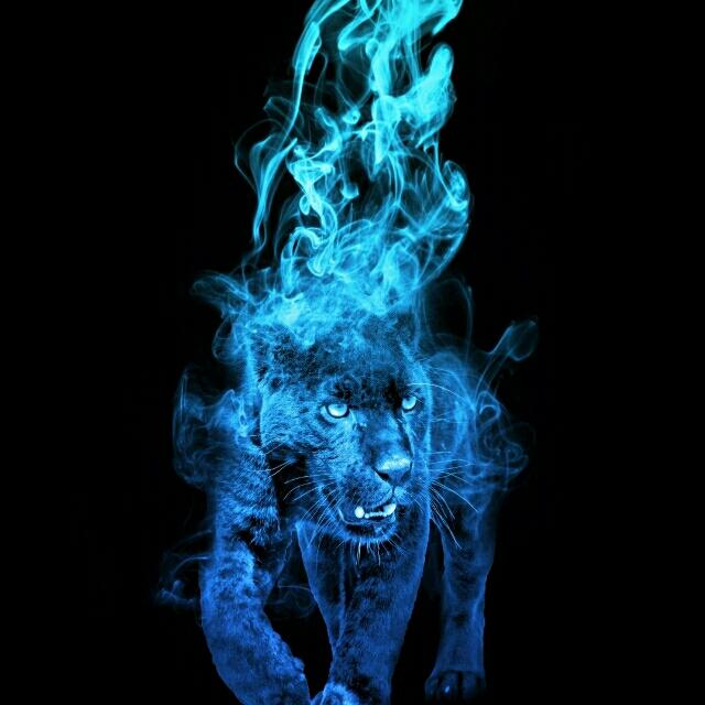 仰望星空，吞噬苦涩