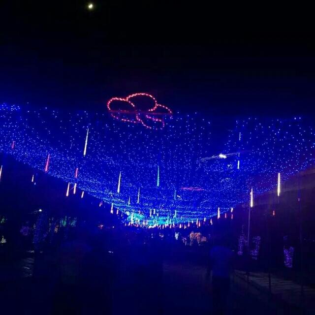 心安勿忘(⊙o⊙)…