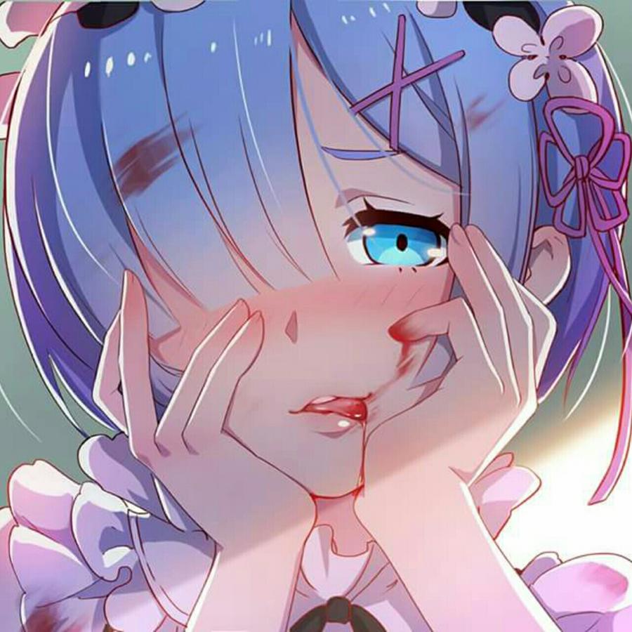 夕阳下的蕾姆控